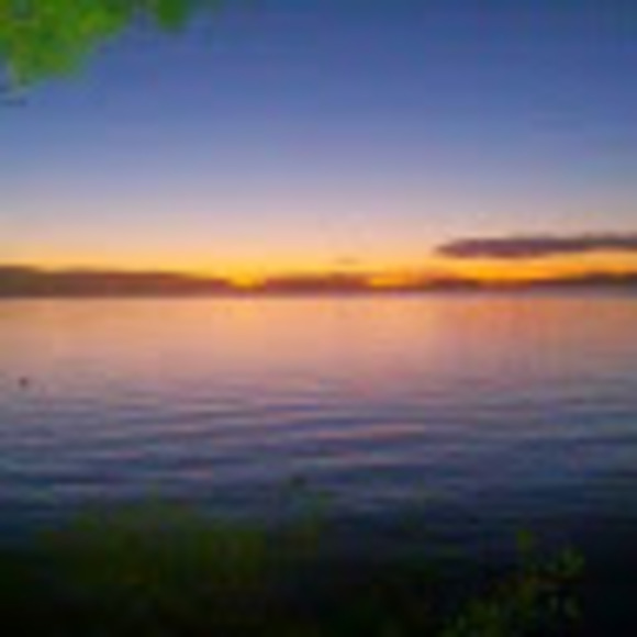 Meet your Posher, Gregorios - Picture 1 of 1